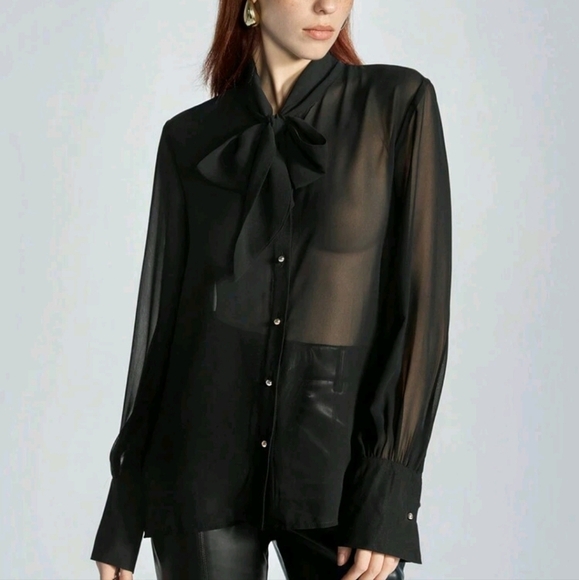 Minimalist Semi-Sheer V-Neck Tie Collar Ribbon Button Down Long Sleeve Blouse - Picture 5 of 5